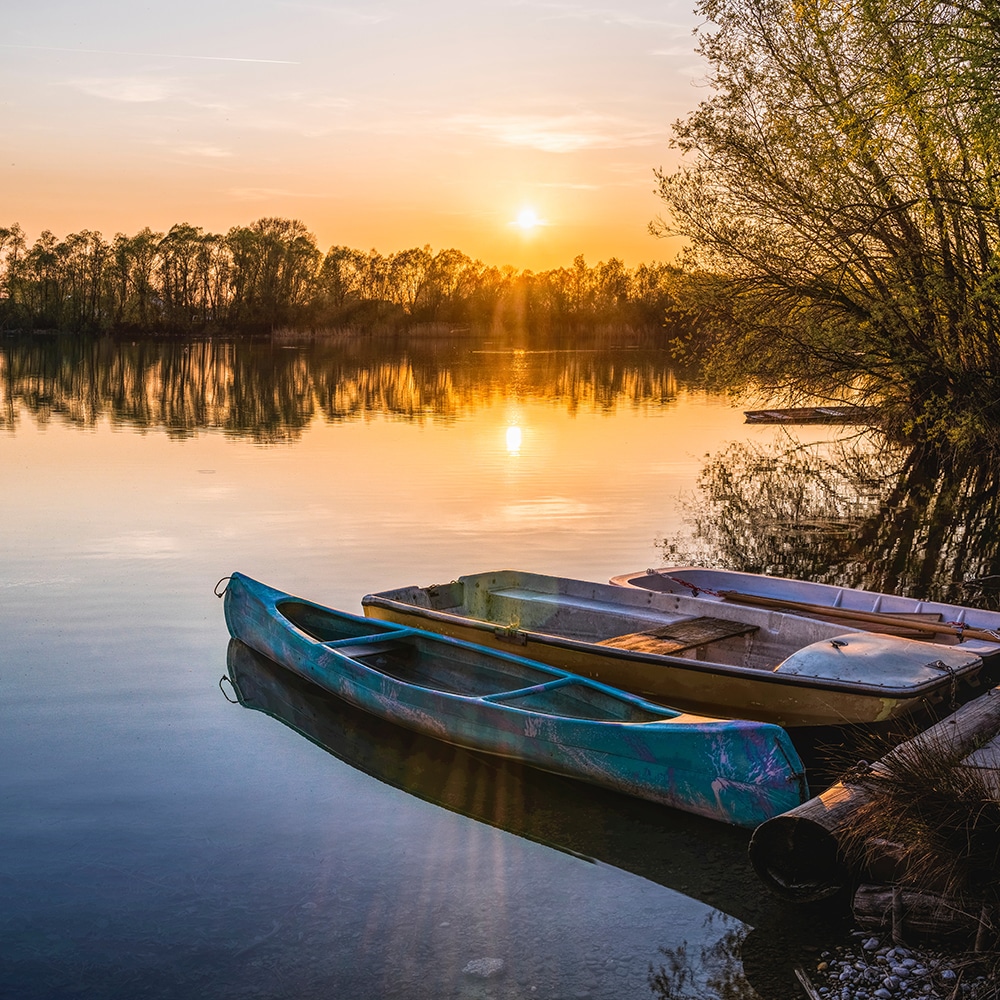 Canoë sur la Leyre