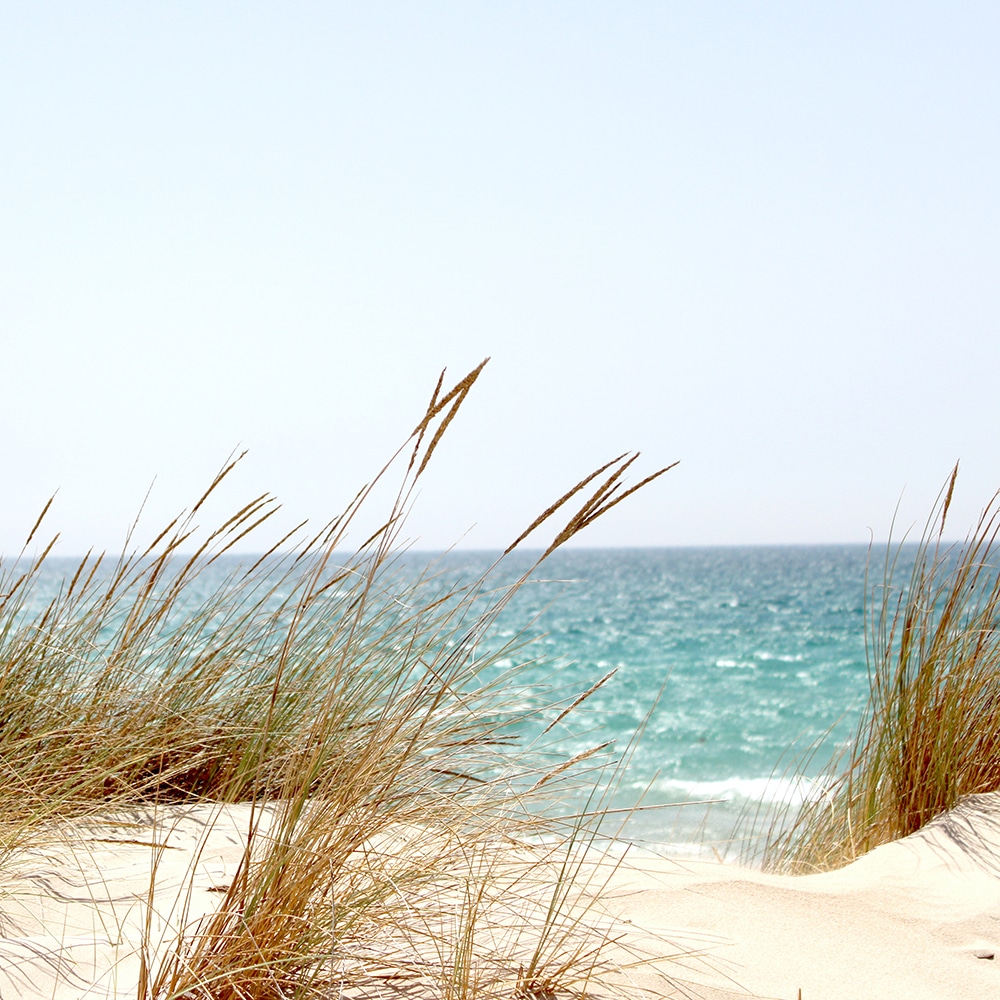 Plage océanes